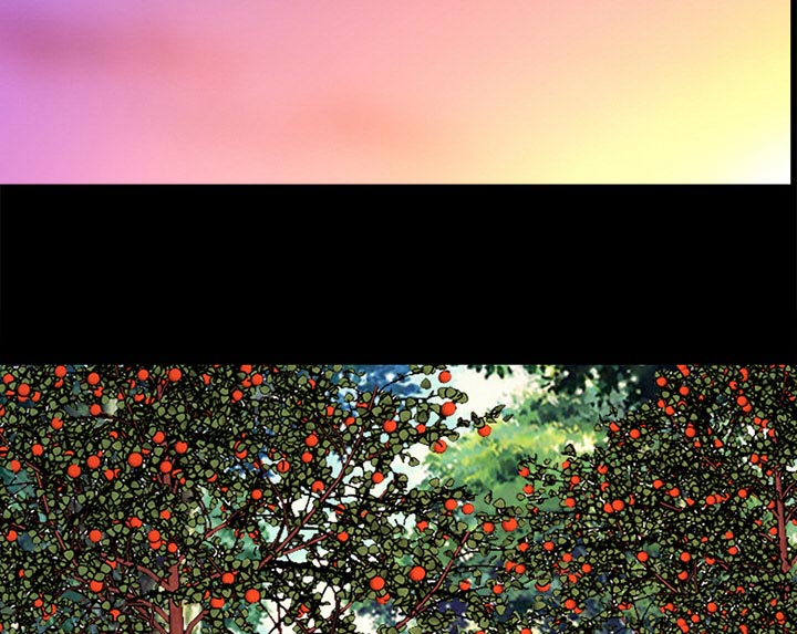 第35章：目标35