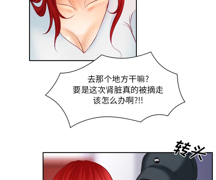 第26章：离家出走的小狗36