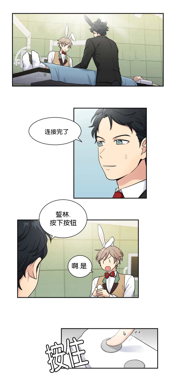 第5章：兔子主题10