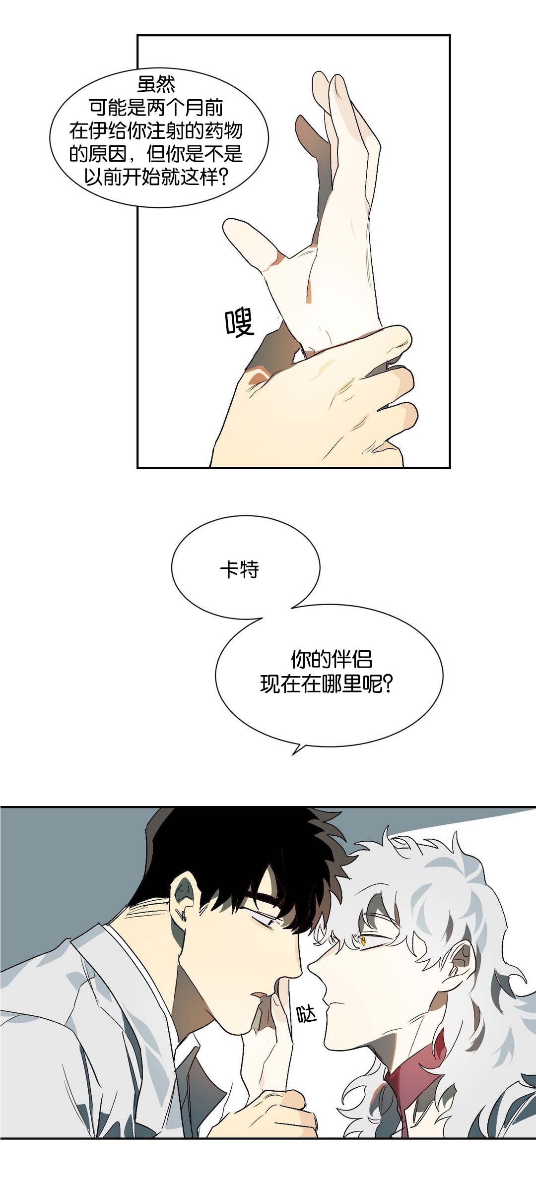 第19章：伴侣11