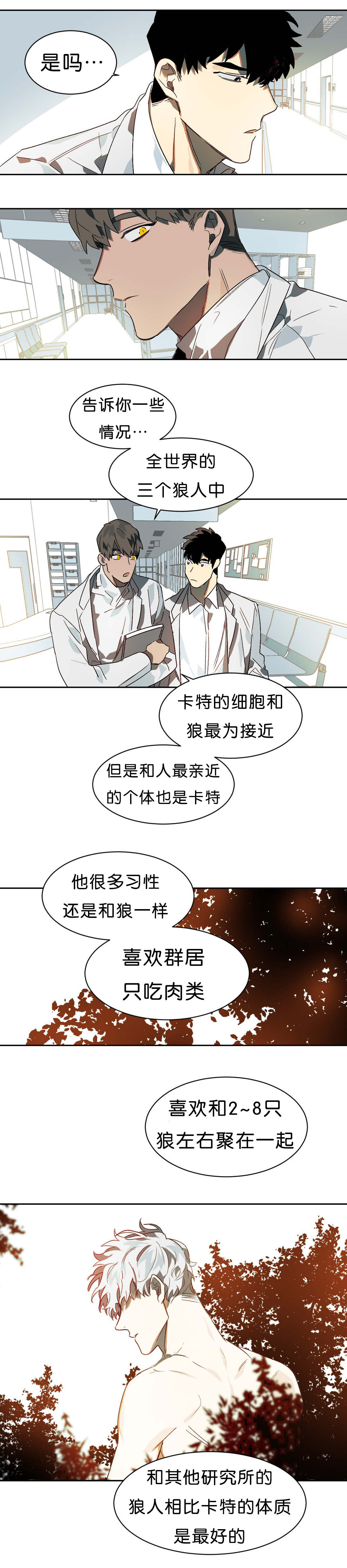 第11章：续杯概念7
