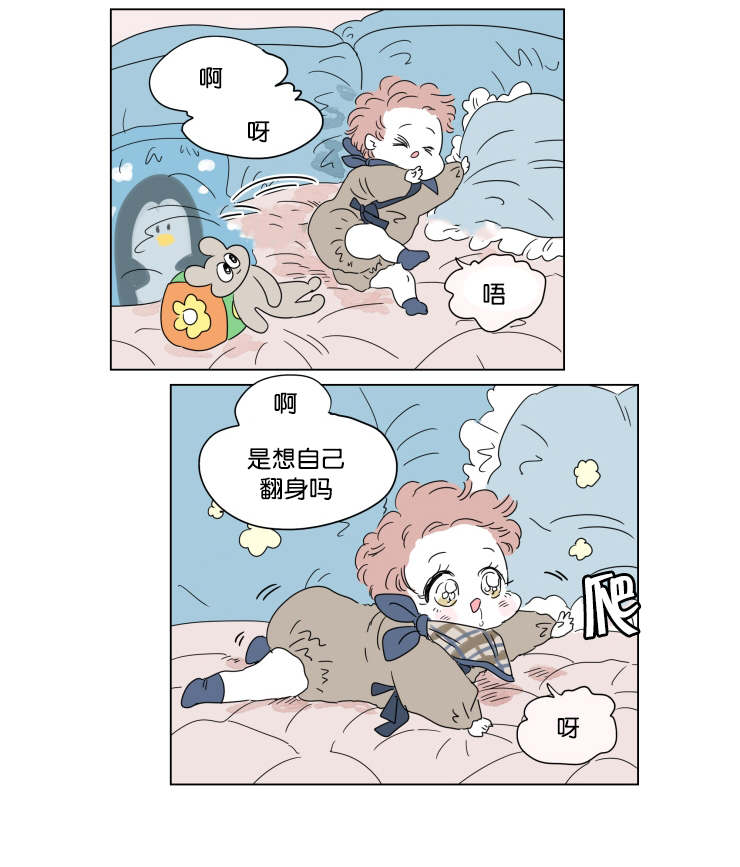第41章：想法3