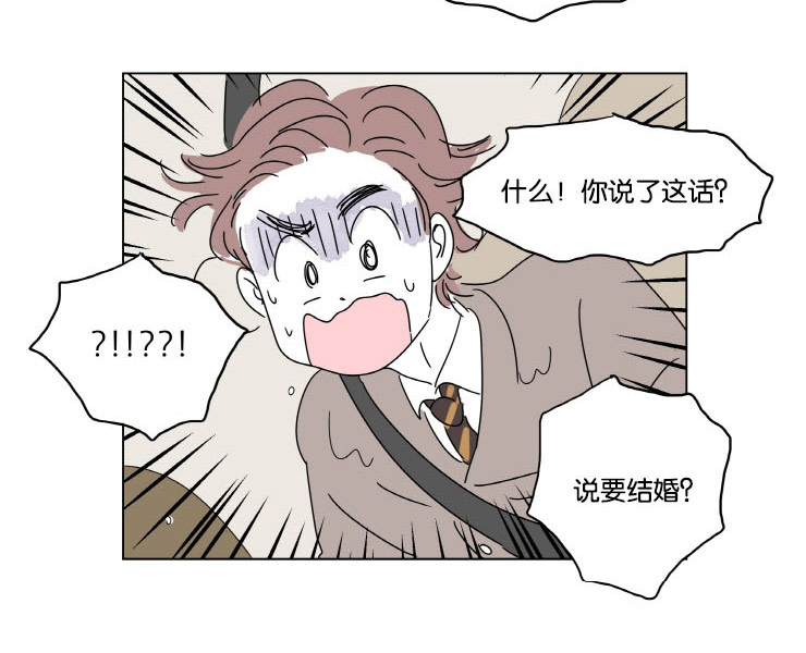 第10章：结婚消息11