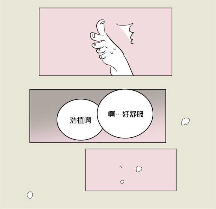 第66章：很有感觉11