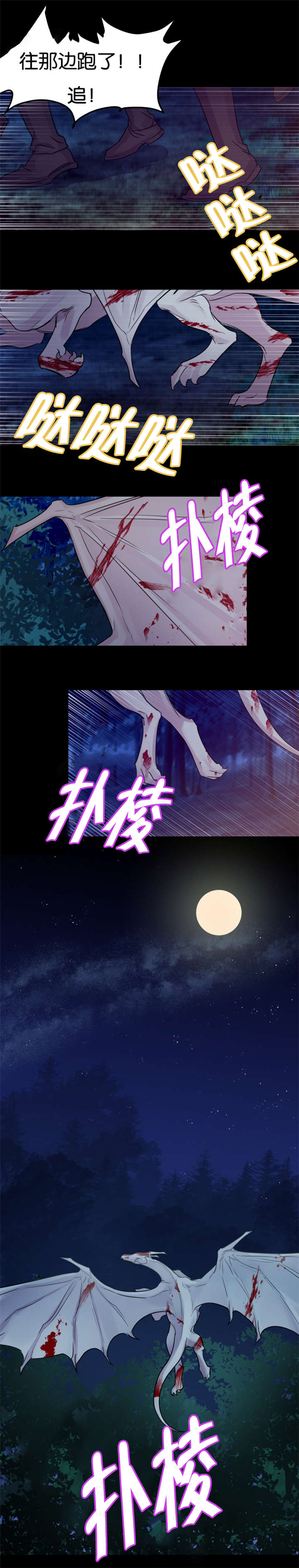第27章：龙受伤了4