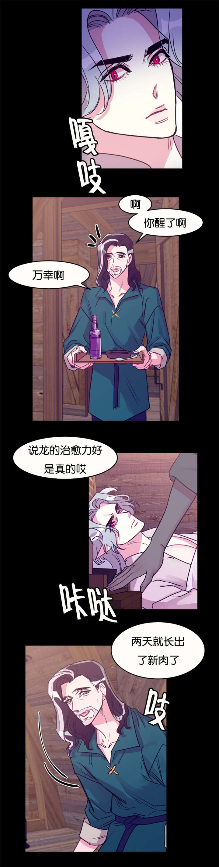 第27章：龙受伤了15
