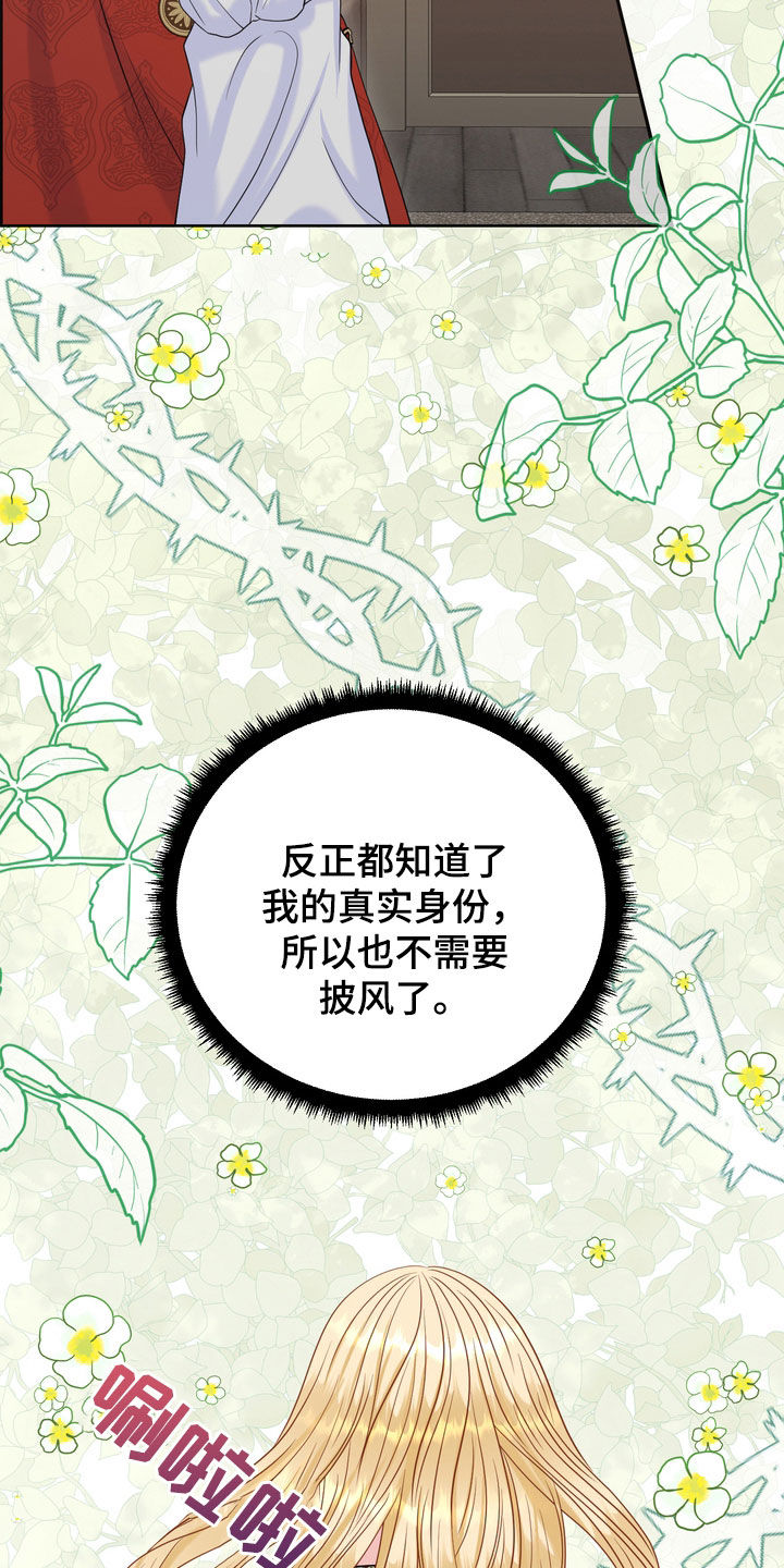 第55章：情报27