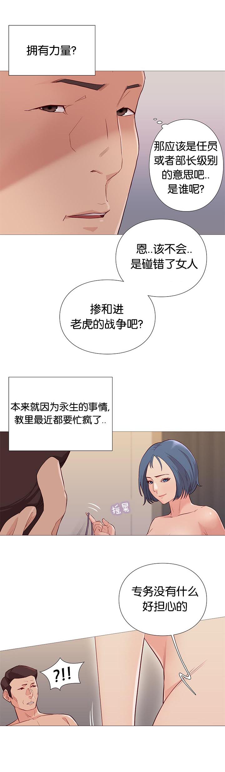 第85章：核心方案16