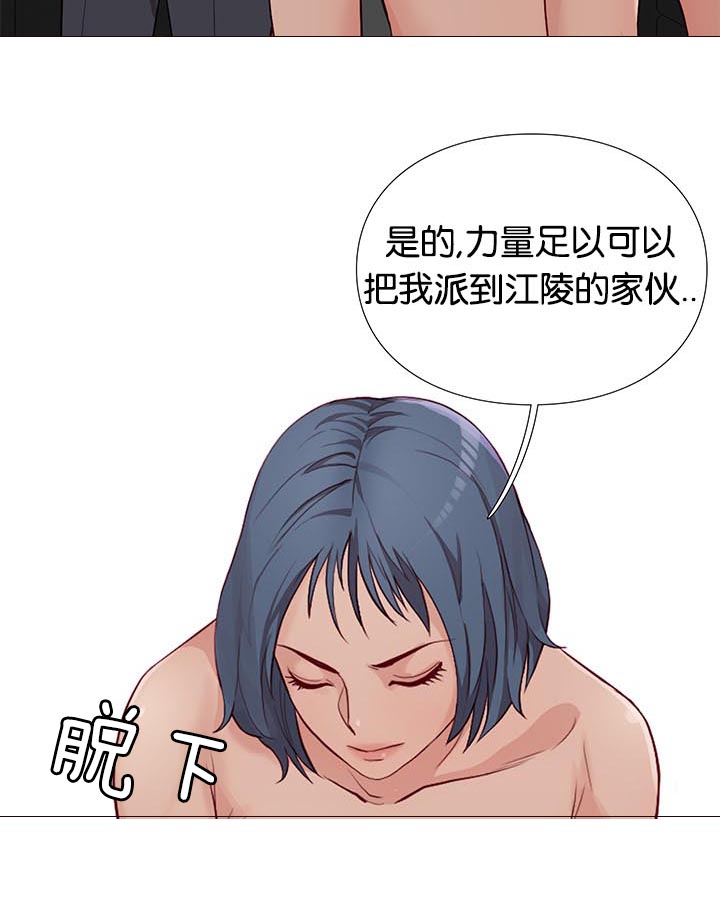 第85章：核心方案15