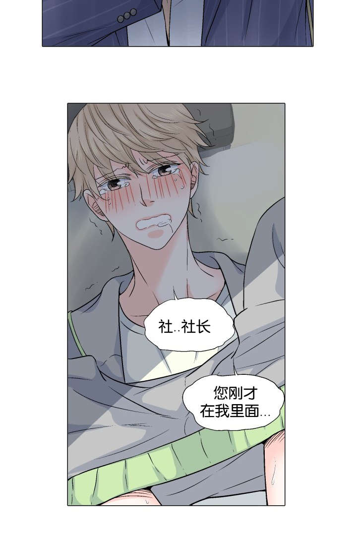 第24章：替代品12