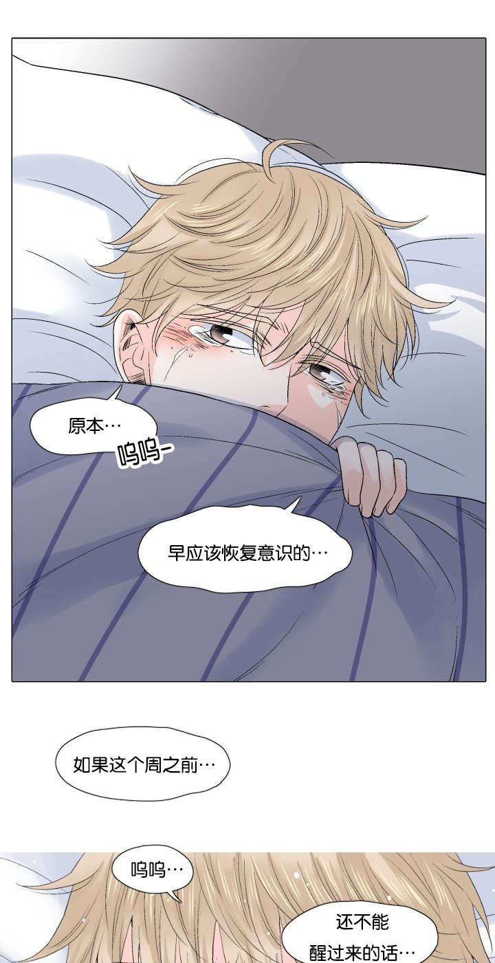 第51章：不是你的错6