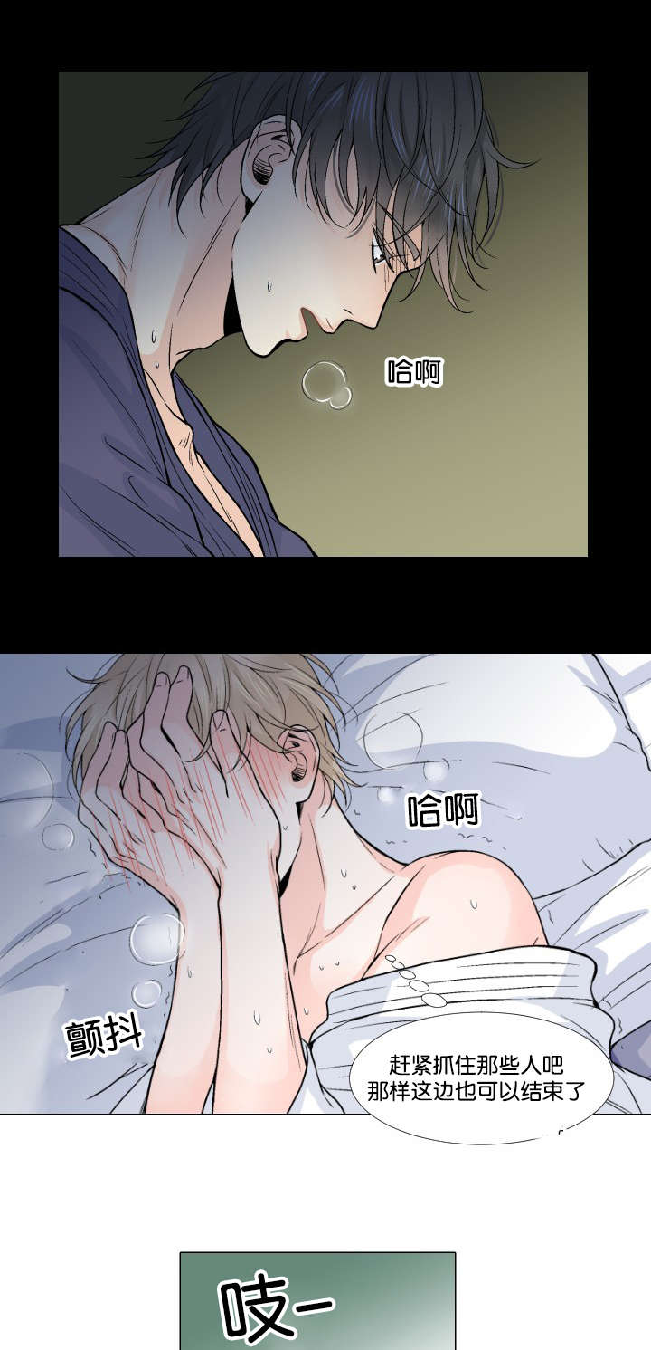 第12章：这种方案11