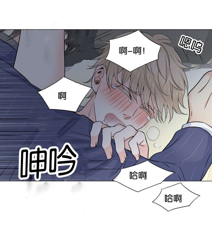 第24章：替代品8