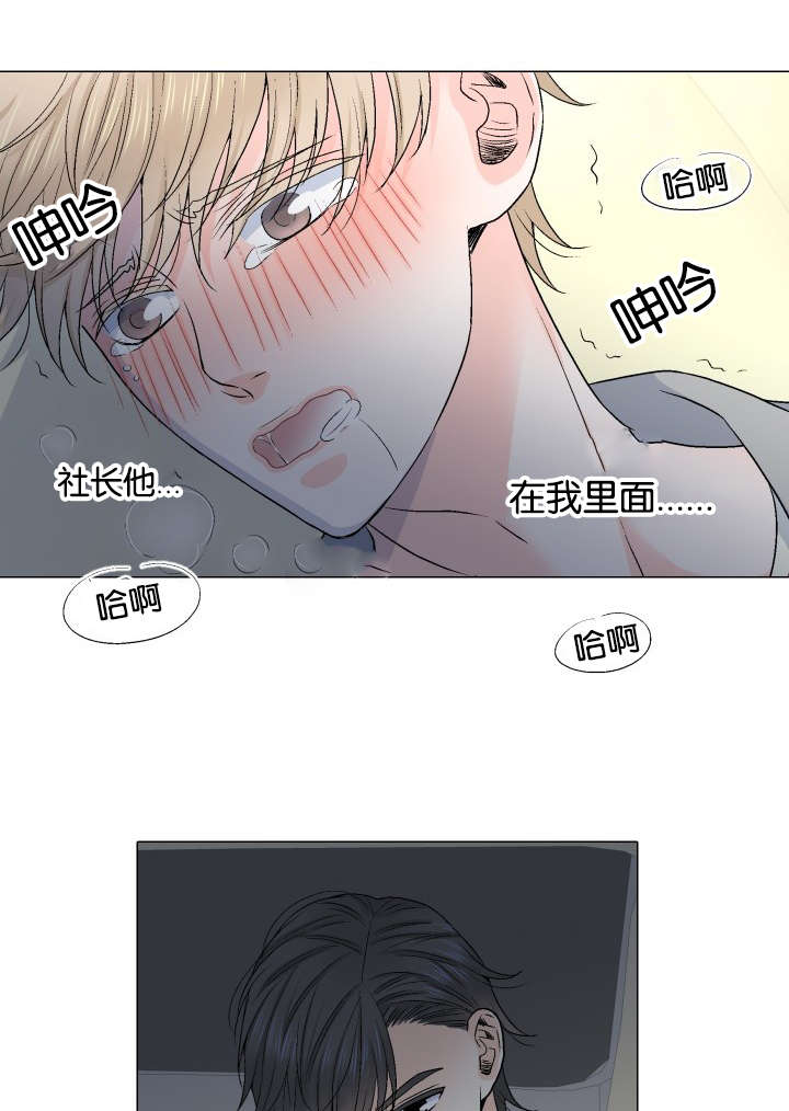第24章：替代品10