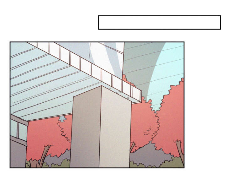 第61章：传闻0