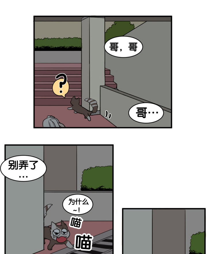 第9章：凝视0