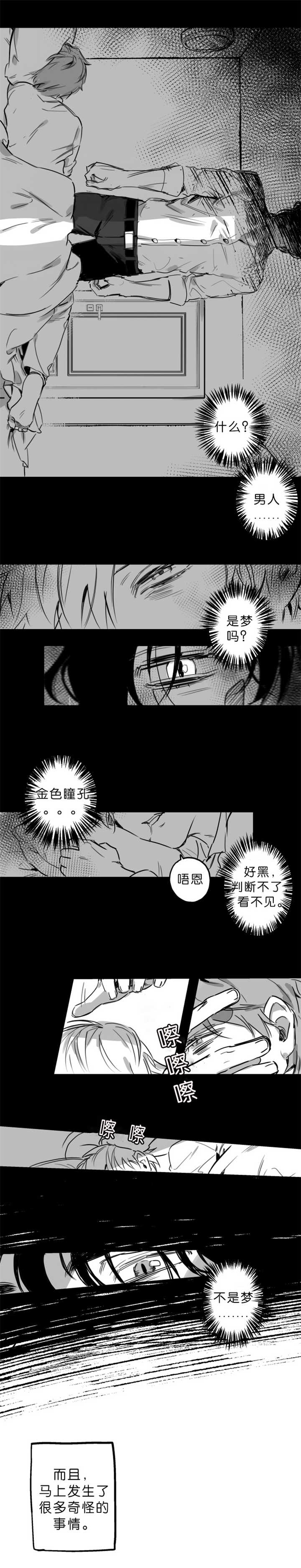 第2章：去睡觉吧1