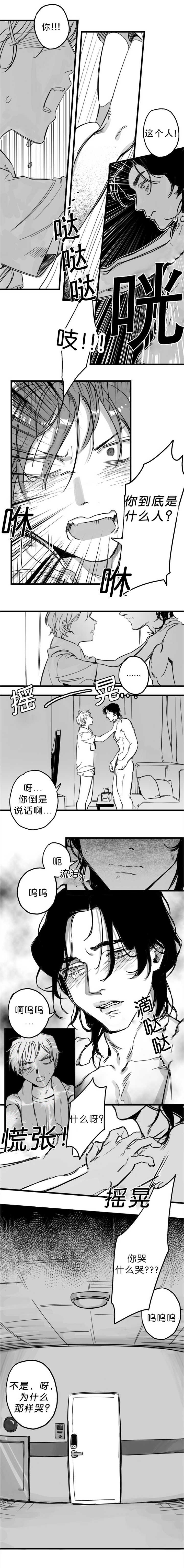 第4章：为什么哭3