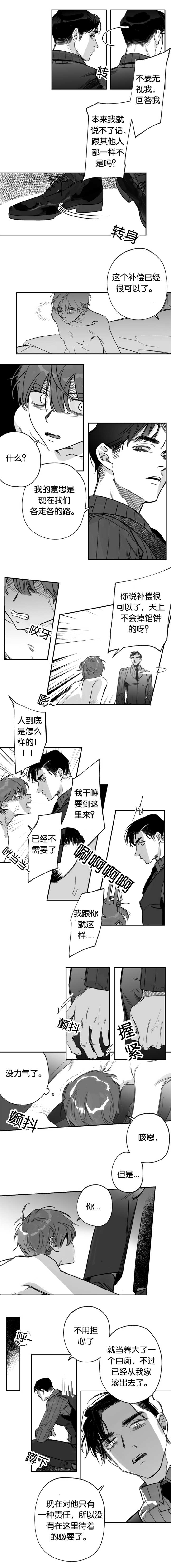 第38章：一种责任1
