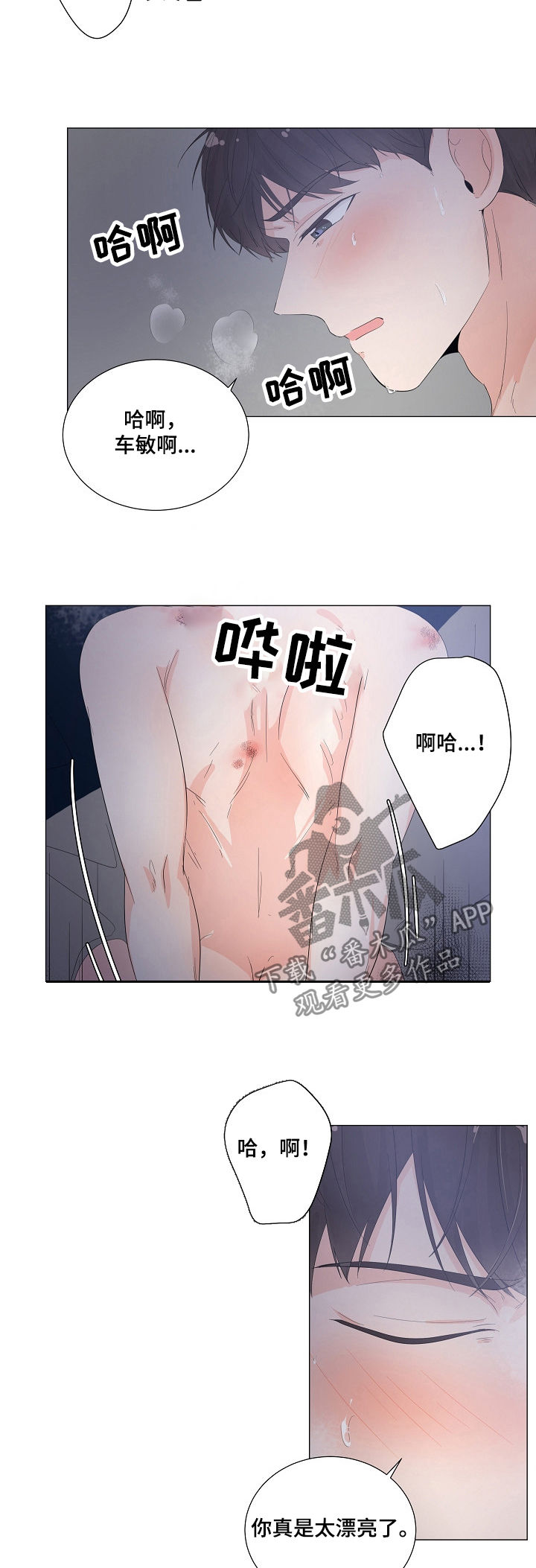 第43章：怎么回事1