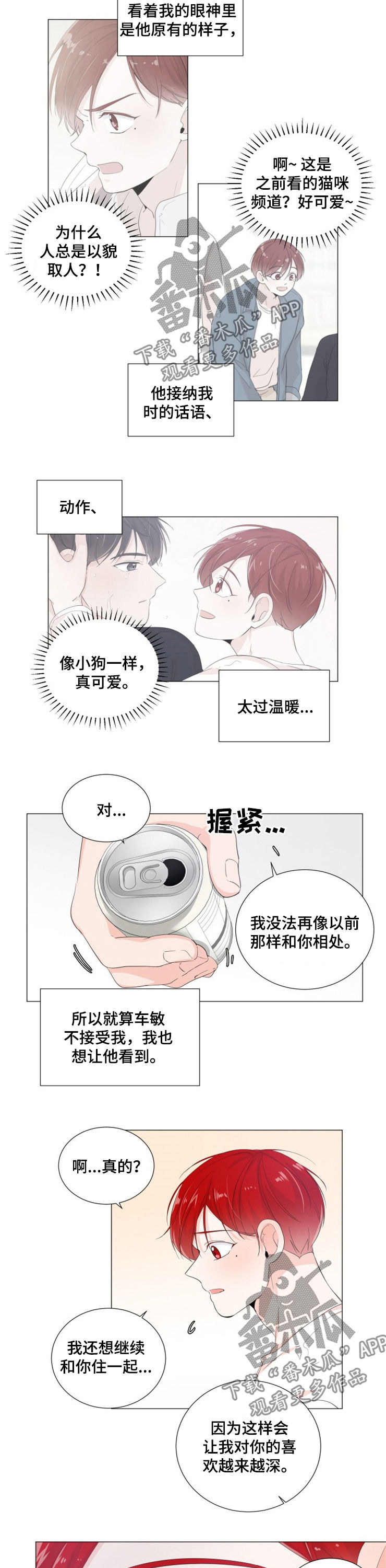 第40章：你的一切6