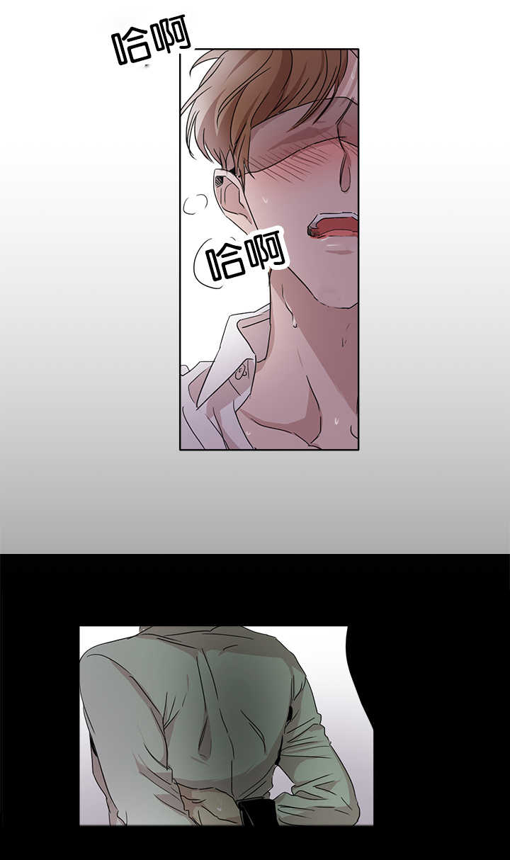 第15章：特别敏感11