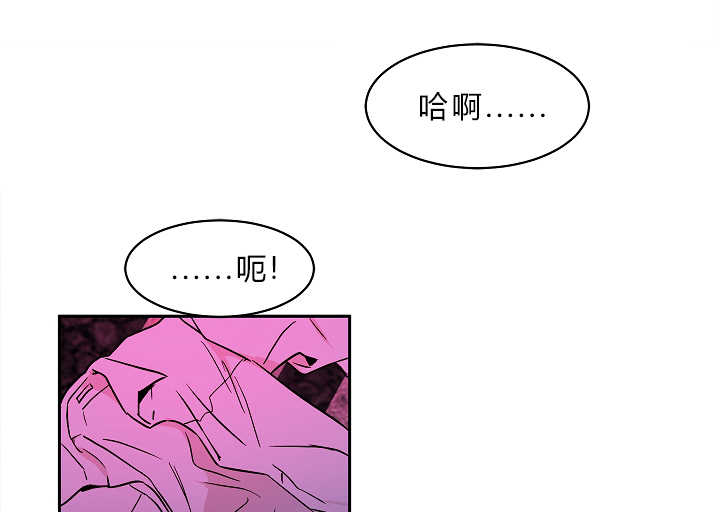 第3章：撞见秘密0