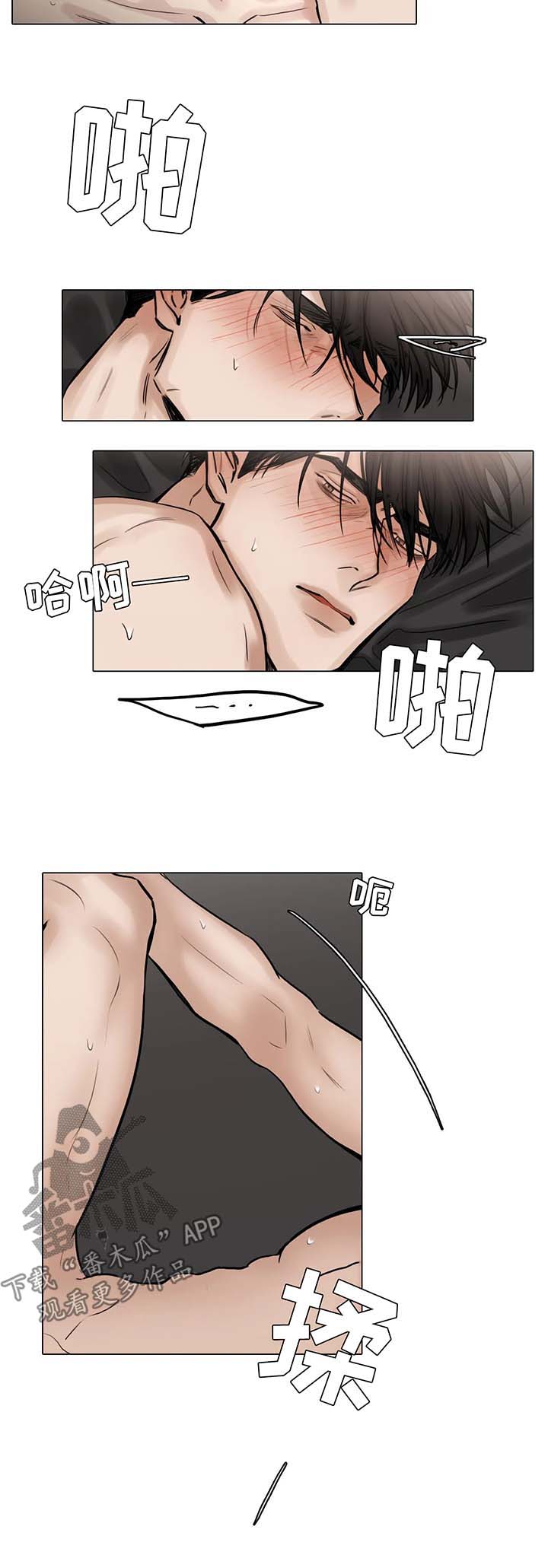 第82章：机会8