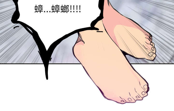 第32章：又有蟑螂7
