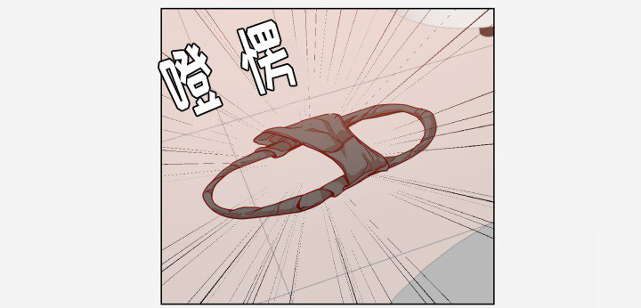第20章：访客22