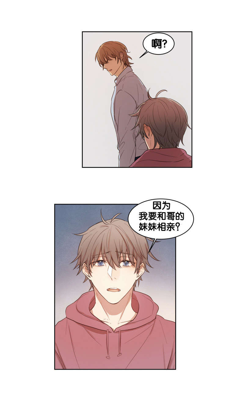 第13章：真的喜欢你9