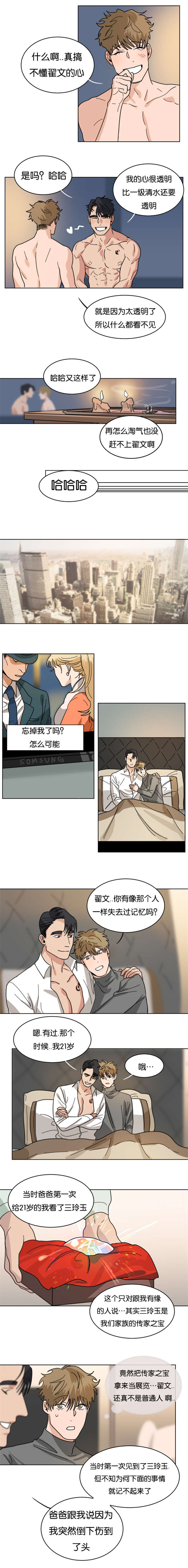 第35章：曾经失忆过0