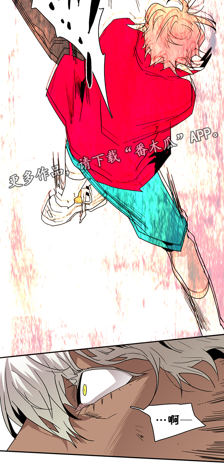 第67章：回答1