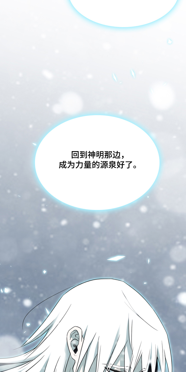 第243章：回归于无28