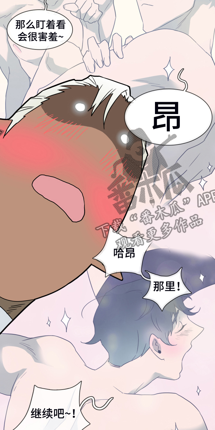 第249章：【番外】期待的洞房13