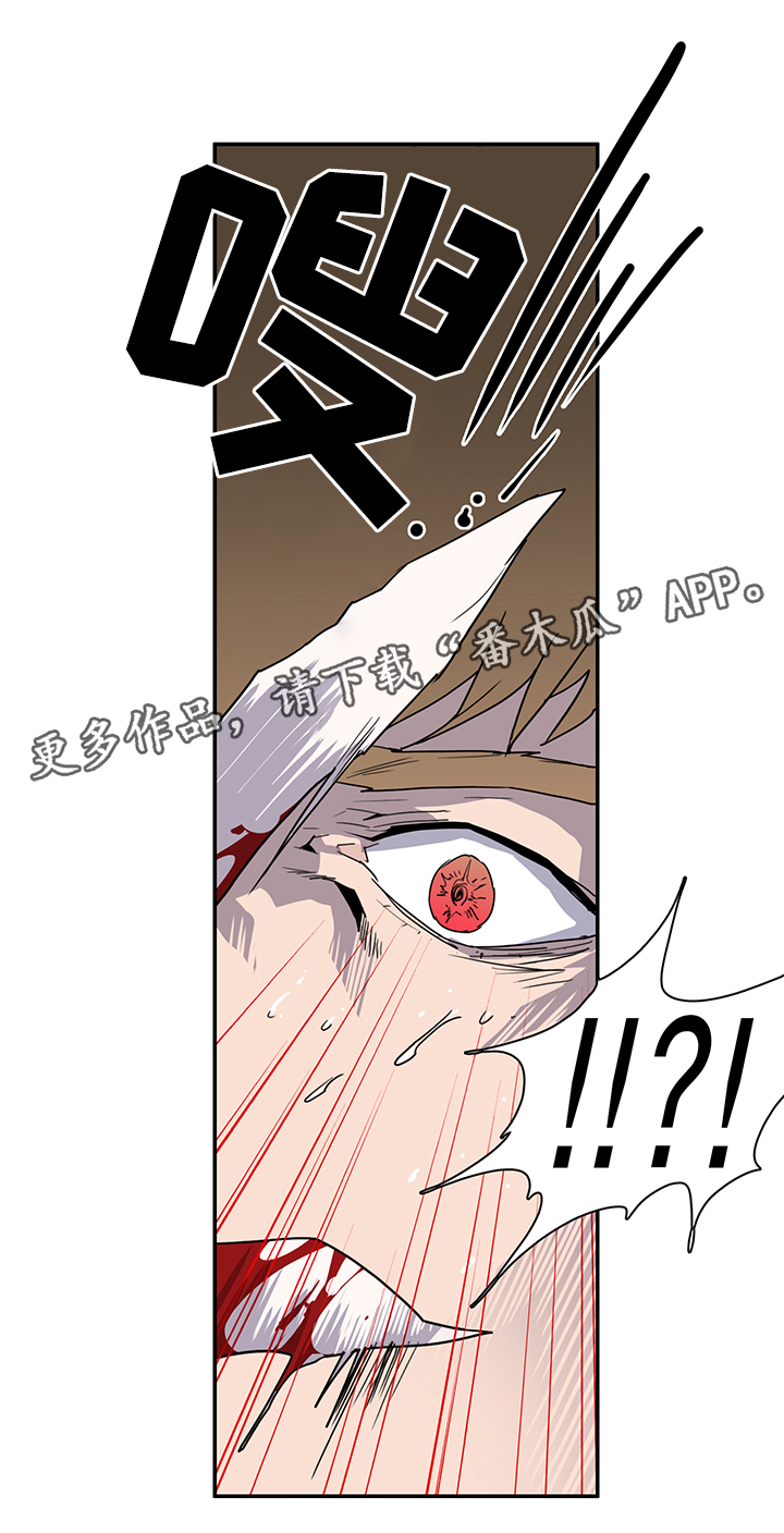 第83章：行踪17