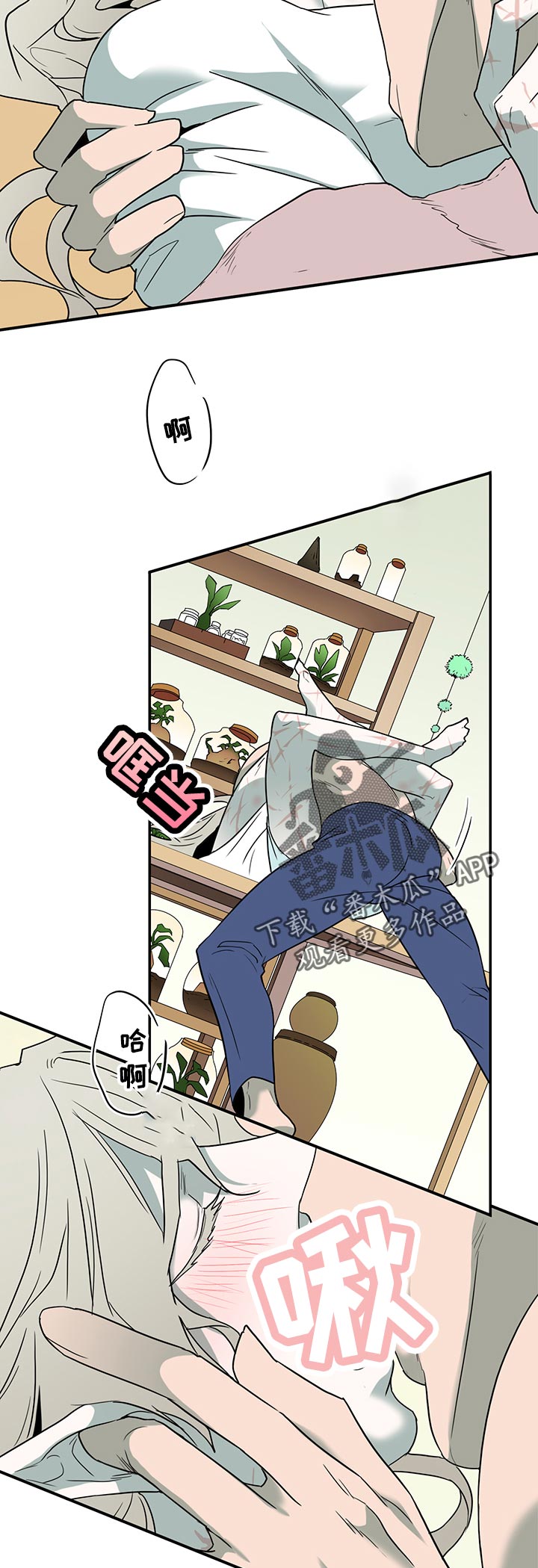 第165章：是谁？1