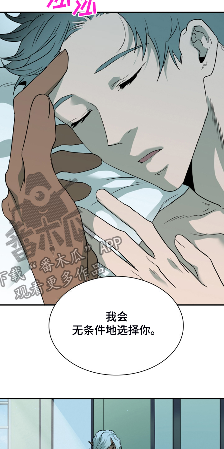 第255章：【番外】孕育生命11