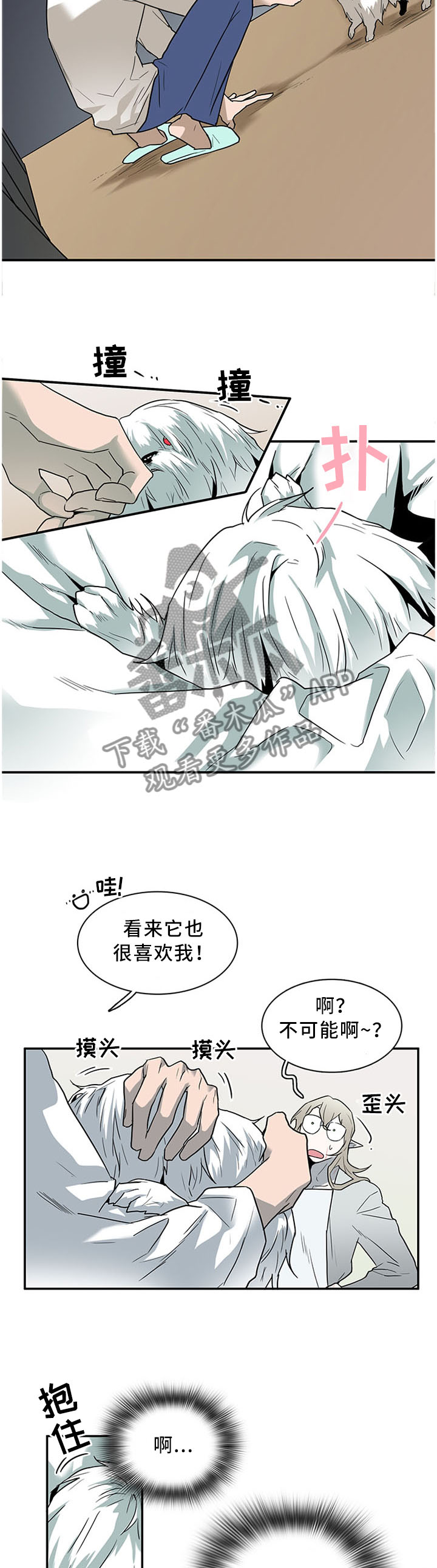 第116章：温暖的感觉6