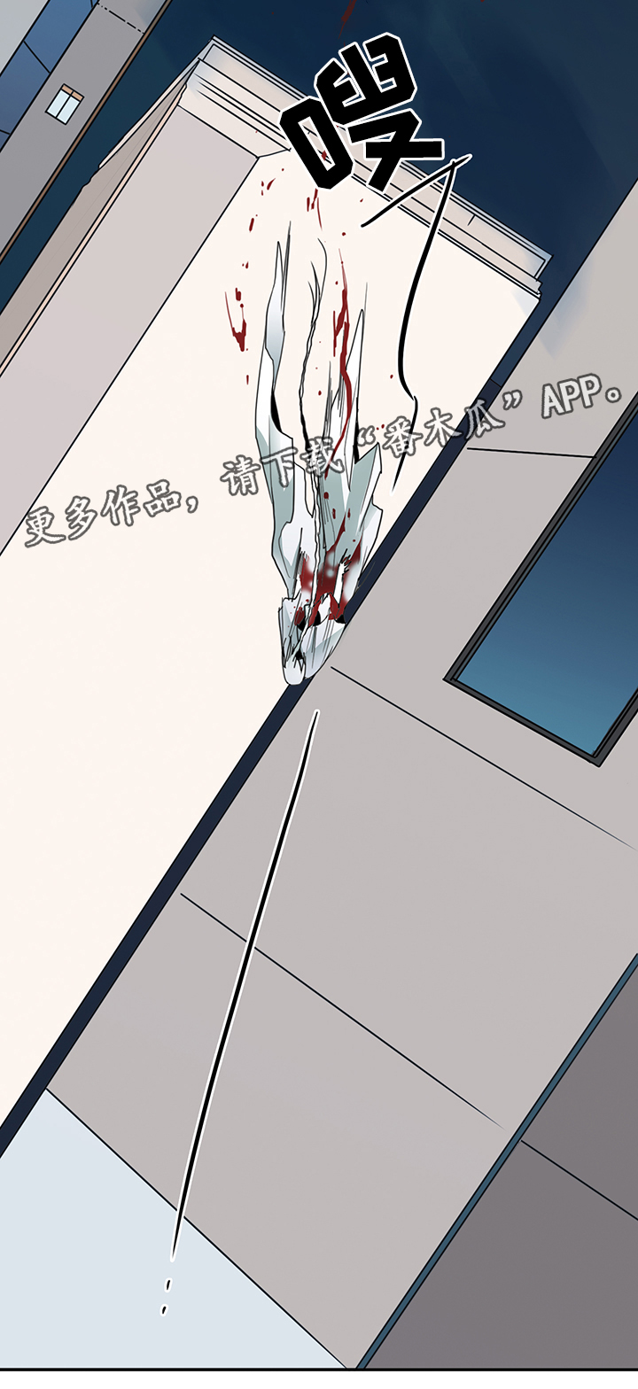 第81章：选择3