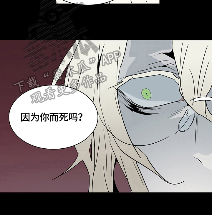 第144章：提供服务5
