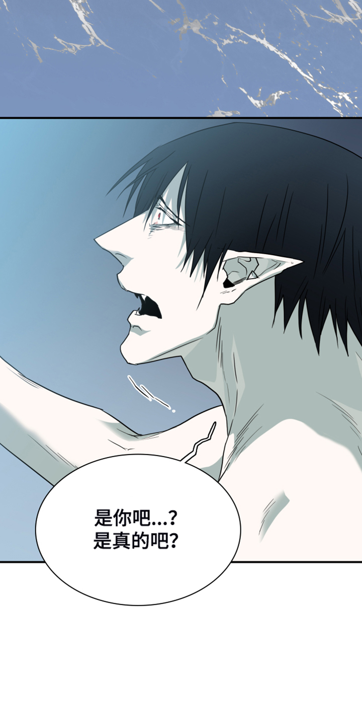 第243章：回归于无2