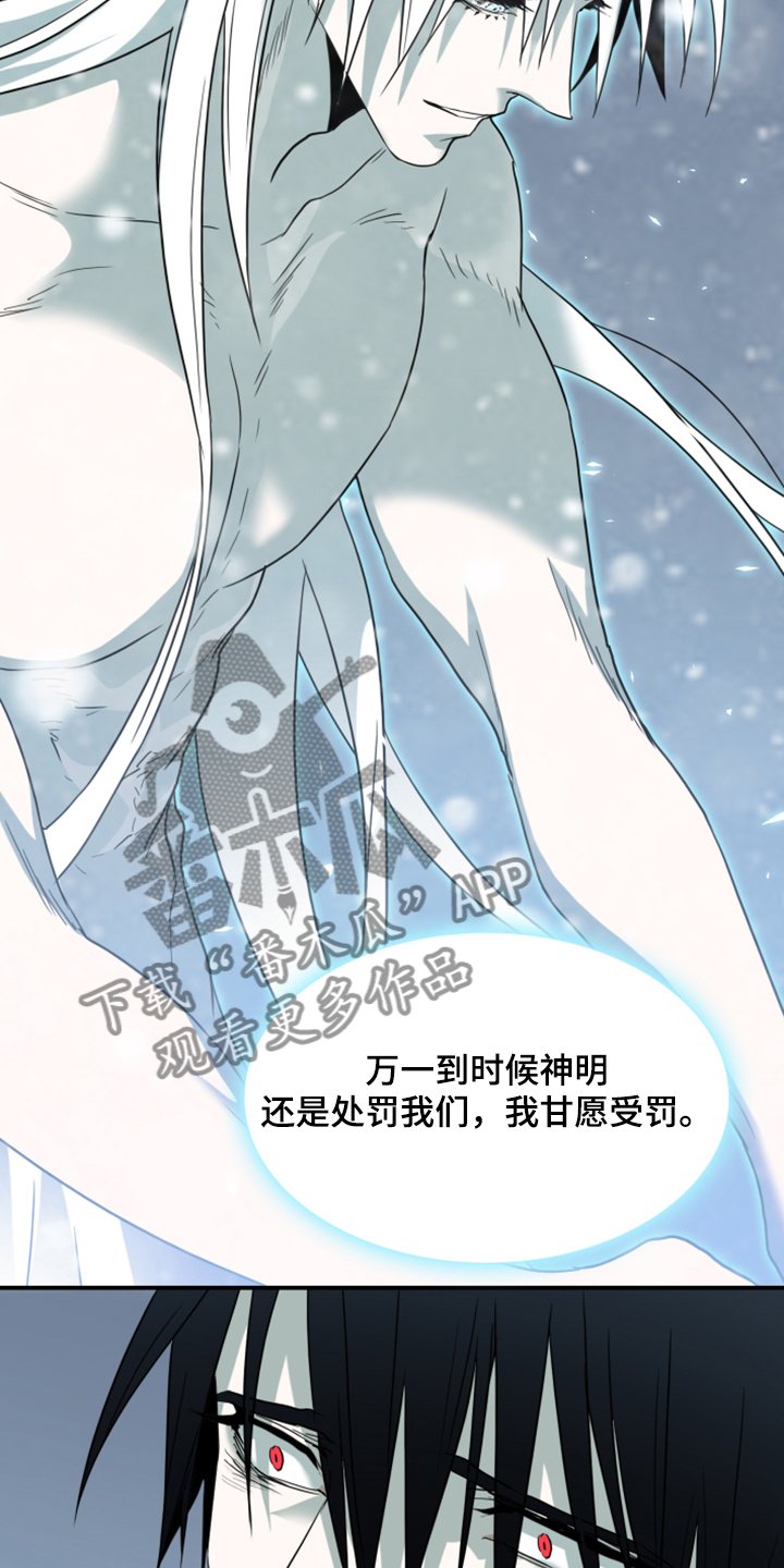 第243章：回归于无29