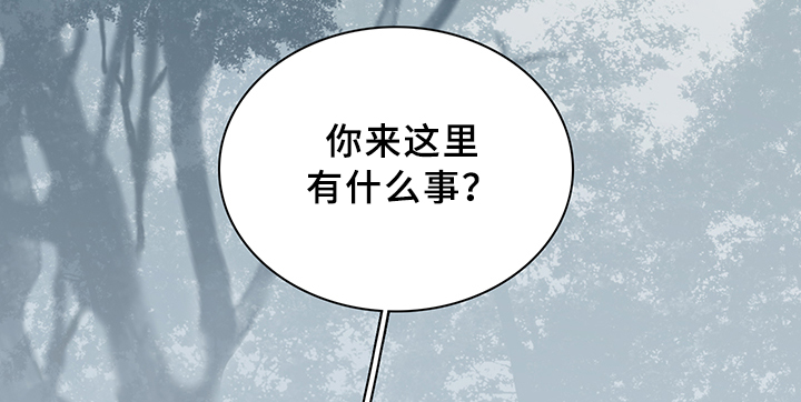 第95章：不留活口5