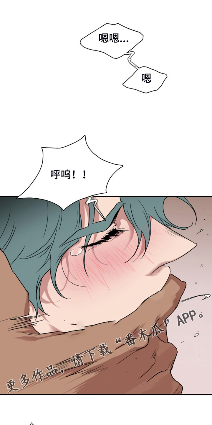 第255章：【番外】孕育生命0