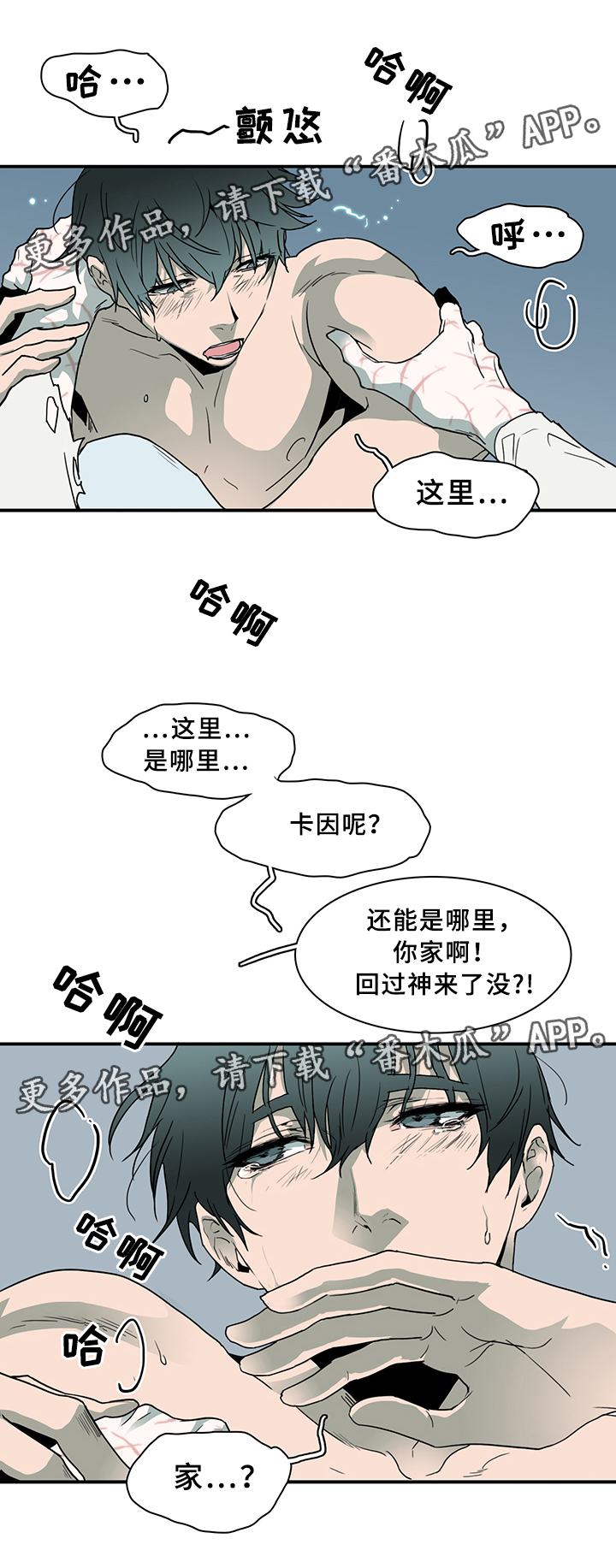 第74章：力量20