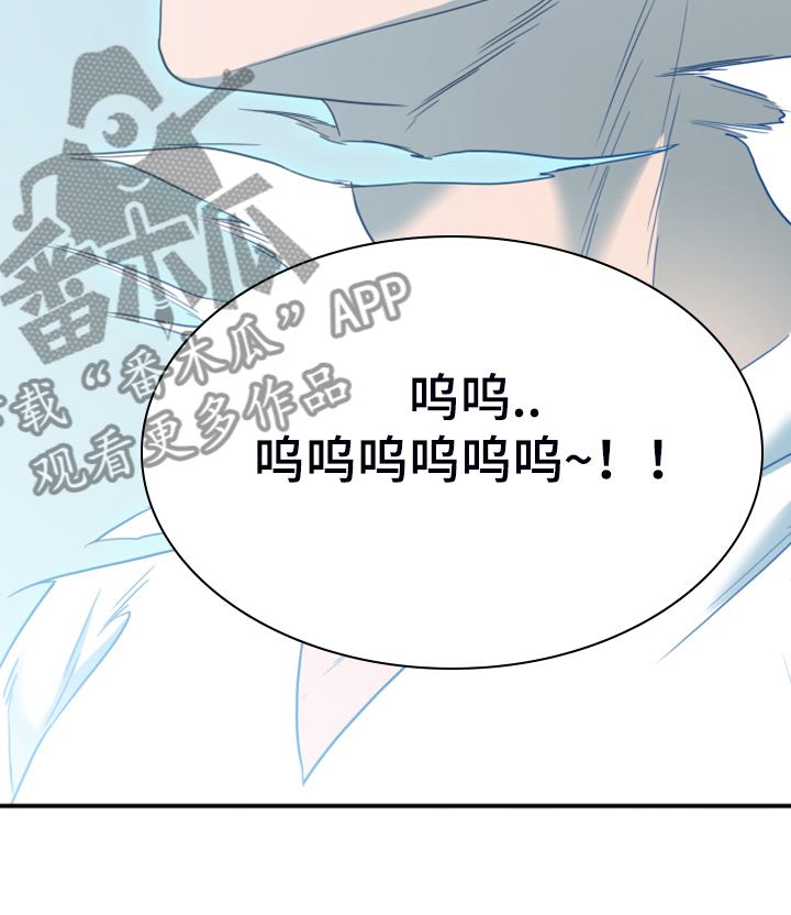 第244章：不要忘记我20