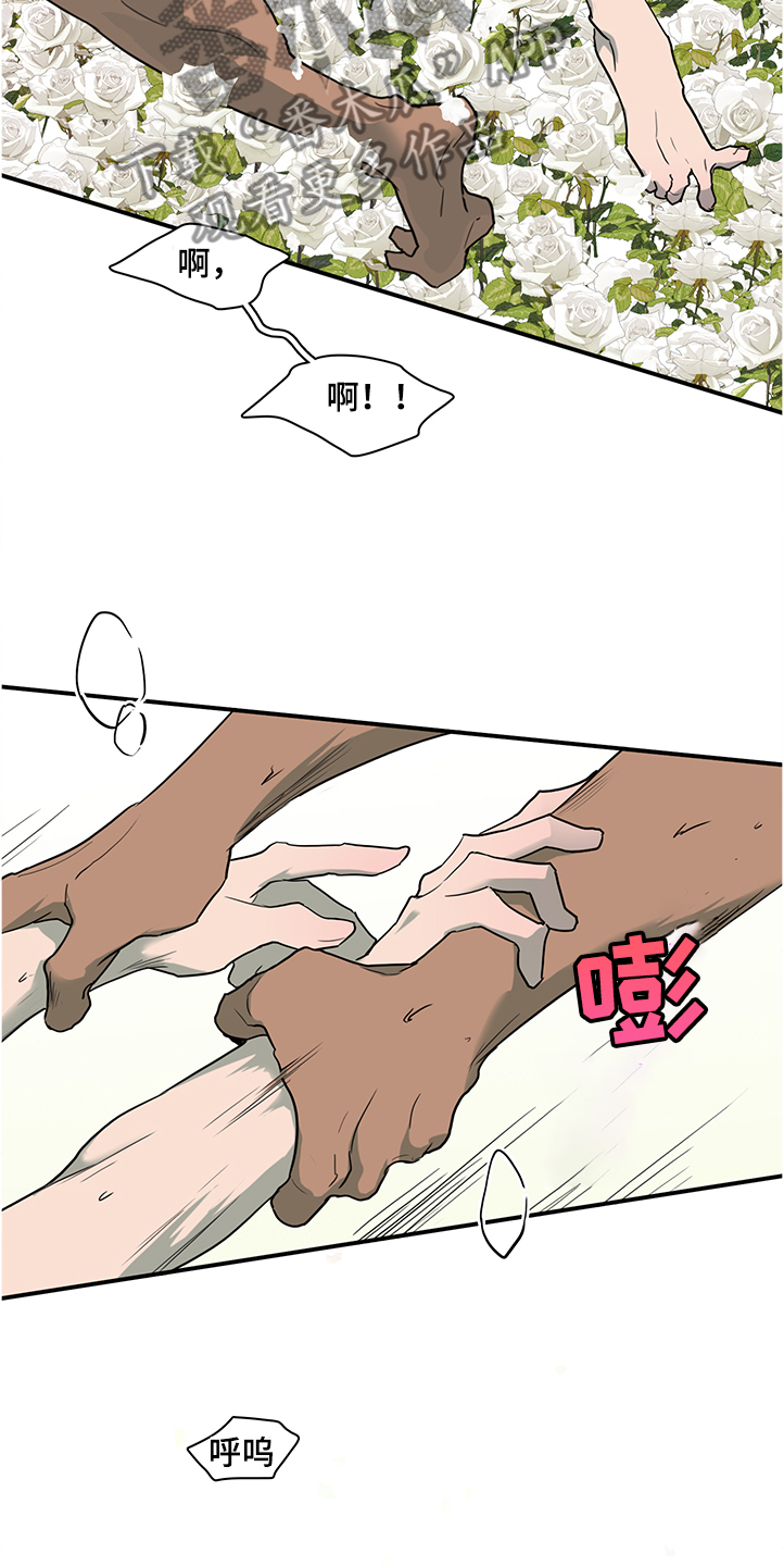 第228章：重回身体2