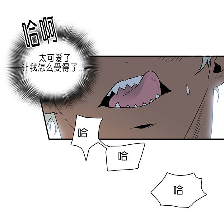 第36章：狭路相逢5