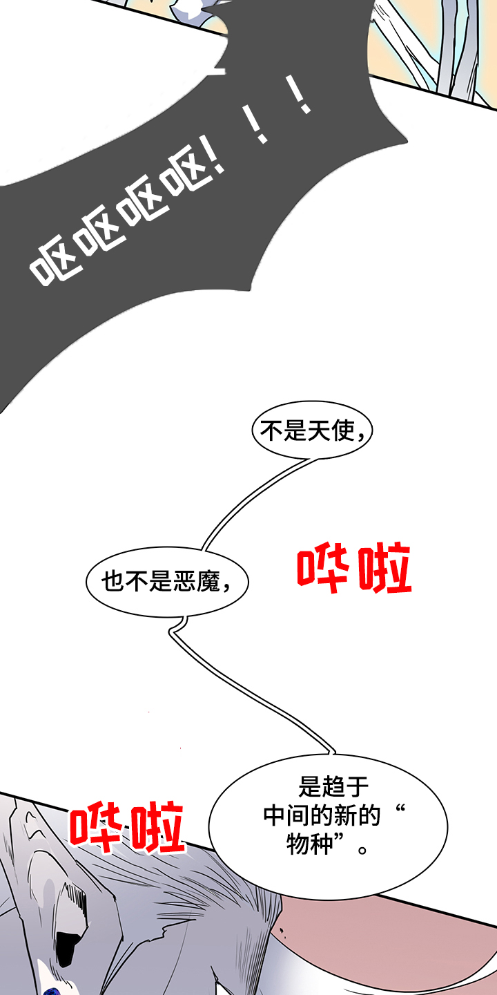 第232章：天使与恶魔的合作14